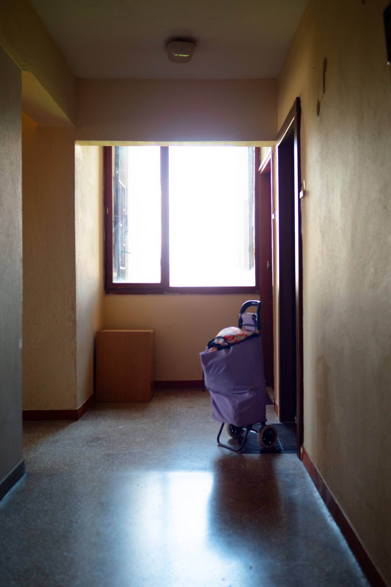 Photo: Knut Werner Lindeberg Alsén